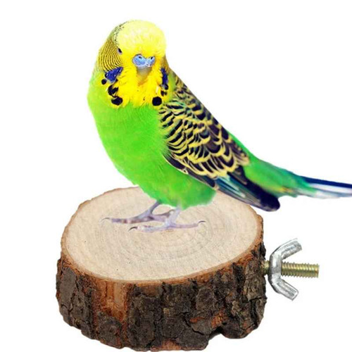 Wooden round parrot bird - wooden,