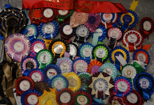 Job lot horse - lot, rosettes