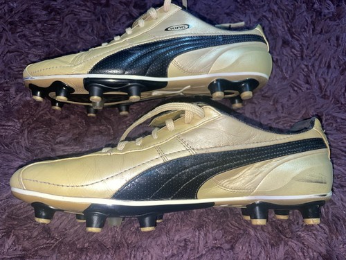 Gold puma king - gold,
