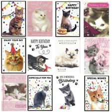 Cute Kitten Cat Quality Birthday Card Kittens Pet Animal Female Male FREE UK P&P
