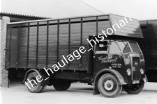 THH Truck Photos - Seddon