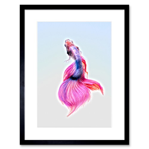 Siamese fighting fish pink - siamese,
