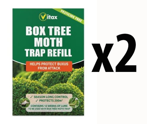 Vitax box tree - vitax, trap