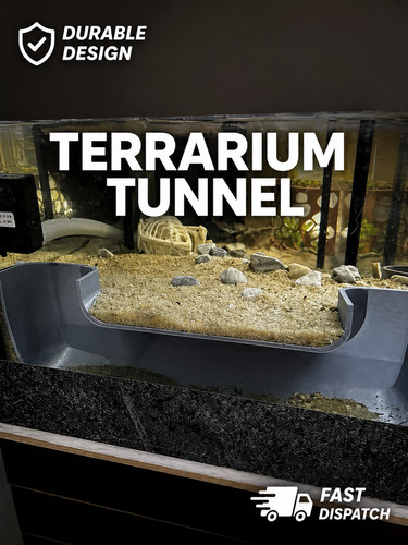 Underground terrarium tunnel - terrarium,
