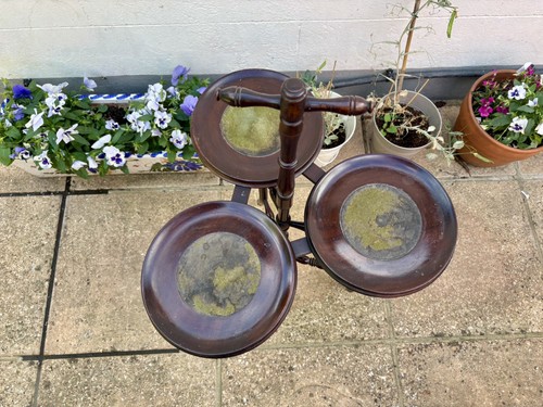Vintage tier wooden - wooden, plant