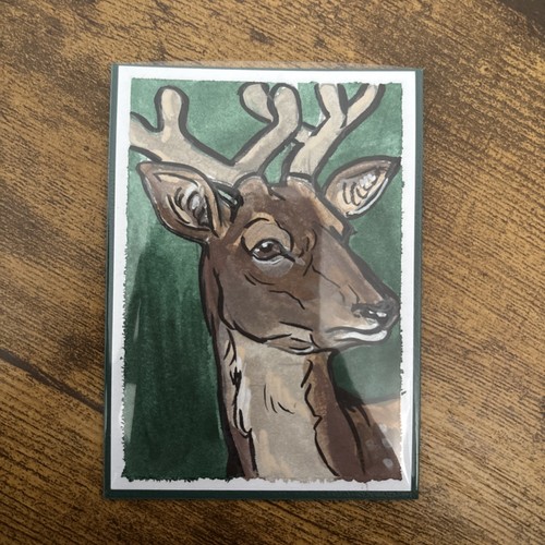 Aceo stag fallow deer - deer, meadow