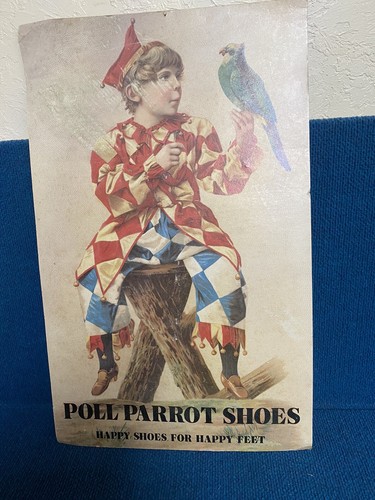 Poll parrot shoes happy - parrot,