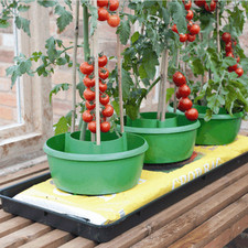 Plant Halos Grow Bag Watering