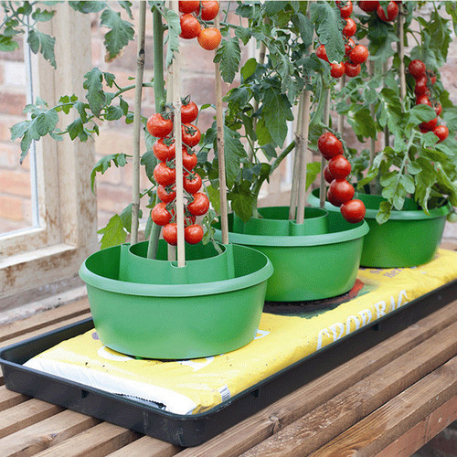 Plant halos grow bag watering - bag,