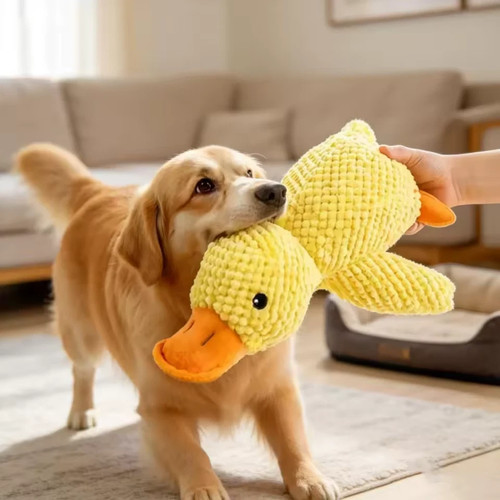 Pet dog chew toys calming - dog,