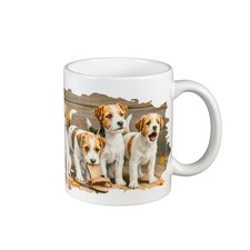 Jack russell terrier puppies - jack,