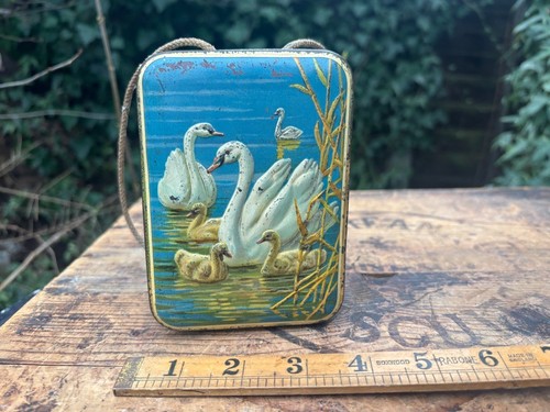 Macfarlane lang swan bird - swan,
