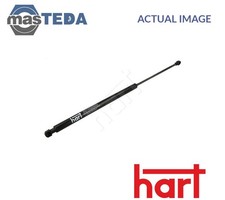 810 389 TAILGATE BOOT STRUT