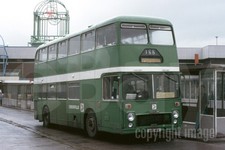 Bus Photo - Yelloway