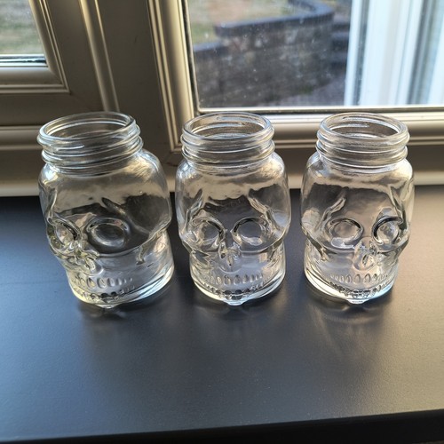 Glass skull jars no - 3, x