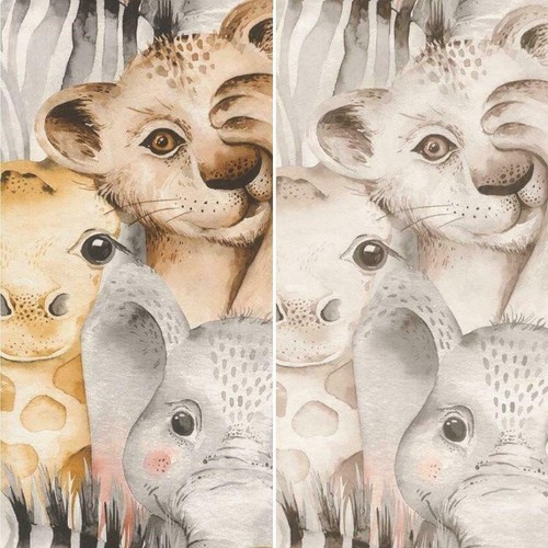 Rasch bambino zoo animals cute - animals,