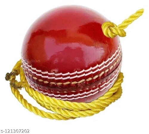 Cricket leather hanging - 2,