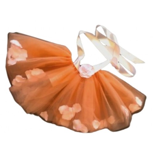 Firefly tutu ballet dance - tutu,