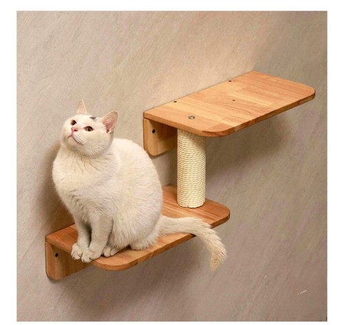 Petomg cat wall steps - wall,