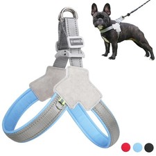 French Bulldog Collar Dog