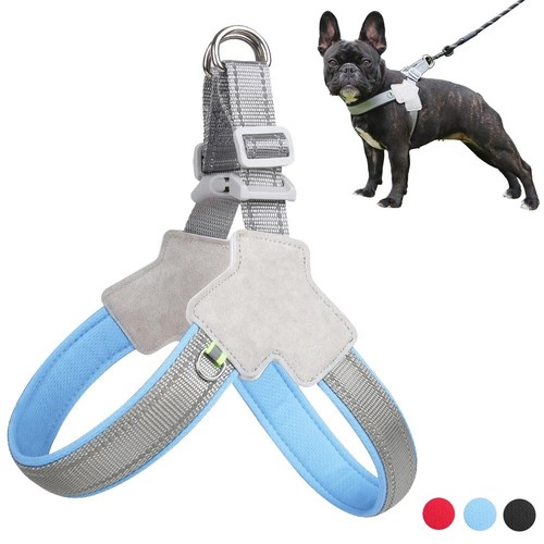 French bulldog collar - french,