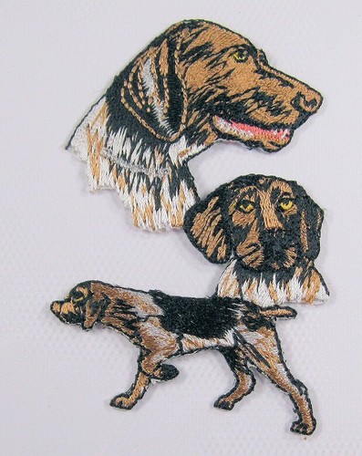 German shorthaired pointer dog - german,