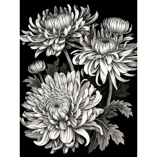 Detailed black and white - black,