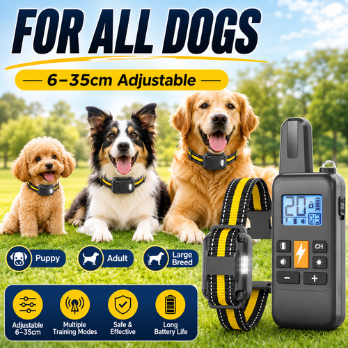 Dog training collar - training,