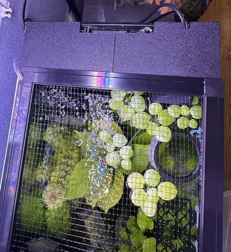 Back cover fit fluval - fluval, evo