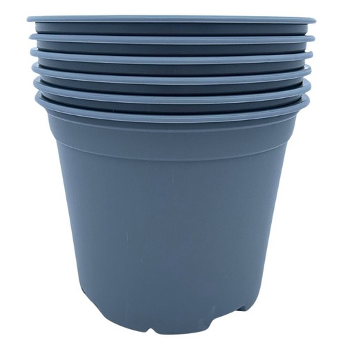 Bramley sage 19cm 3 - bramley,