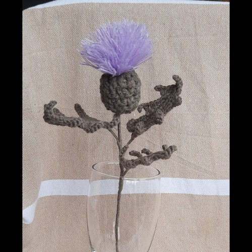 Hand crochet scottish thistle - scottish,
