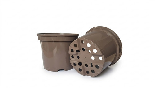 Recyclable taupe plant - taupe,