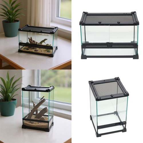 Tempered glass reptile - tempered,