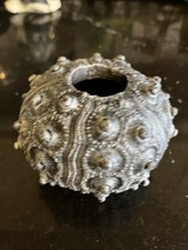 Big Sea Urchin Fish Toy With