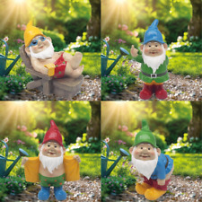 Novelty Naughty Gnomes Garden