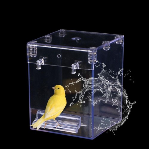 Bird bathtub hanging - bathtub, parrot