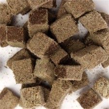 Premium Australian Blackworm