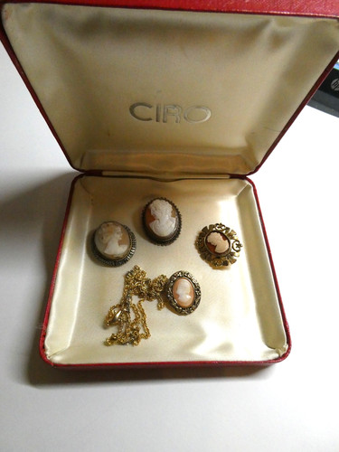 Selection cameo brooches - of,