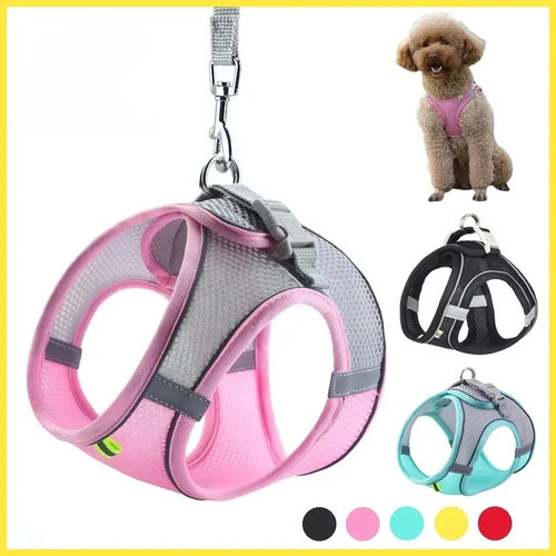 Puppy harness set dog - puppy,