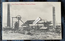 1907 Forest Of Dean New Fancy