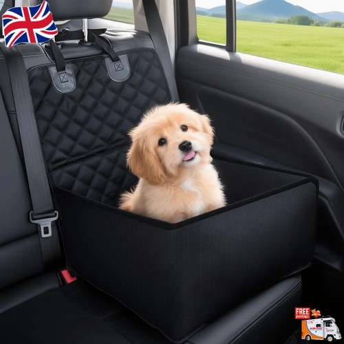 Pet dog car - dog, booster