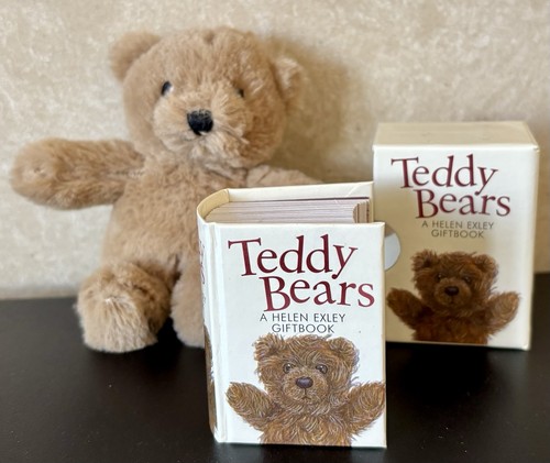 Teddy bear warmies keyring - teddy,