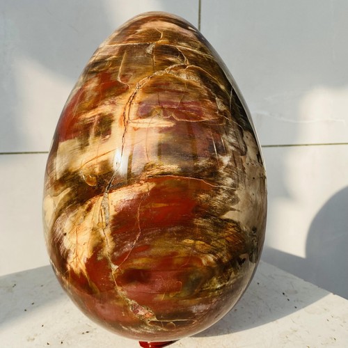 Natural petrified wood egg - petrified,