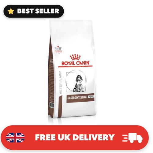 Gastro intestinal puppy dog - puppy,