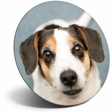 Awesome Fridge Magnet - Jack