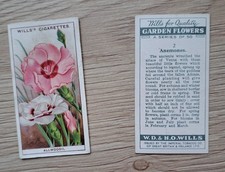 A Full set of Garden Flowers