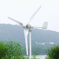 2000W Wind Turbines Generator Windmill Energy Wind Power with Controller 24V 48V