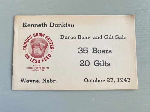 Vintage durocs boar gilt hogs - vintage,