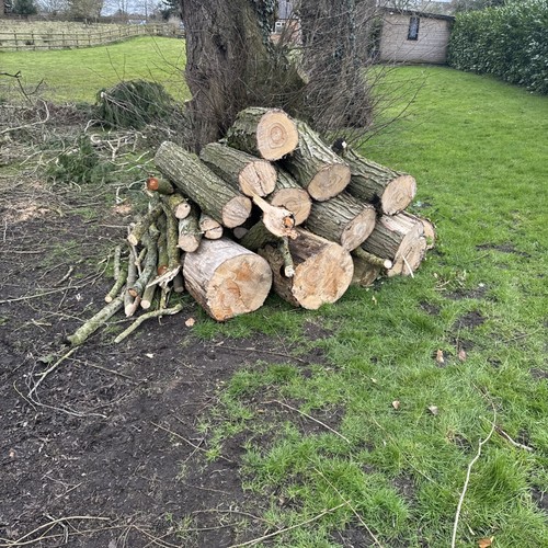 Firewood logs wood - logs, burner