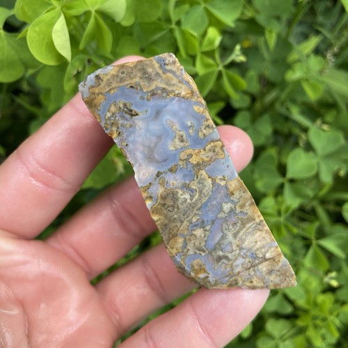 Beautiful brecciated ohio - beautiful,
